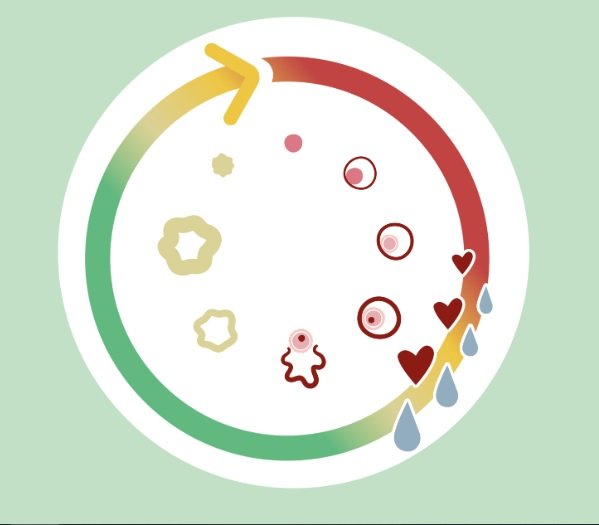 fertilité, infertile, PMA, grossesse, projet bébé, conception naturelle, procréation médicalement assistée, méthode Billings, méthode naturelle, cycle féminin, menstruations, mucus cervicale, microbiote féminin, femme, troubles féminins, enceinte, aide à la conception, périodes fertiles, physiologie