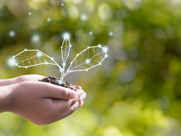 réflexologie bébé, technique douce, sommeil, RGO, diversification, reflux, constipation, coliques, transit, naissance, venue au monde, allaitement, émotions, enfant en bonne santé, enfance, santé au naturel, bien être, naturopathie, médecines douces, naturopathe, aromathérapie, gemmothérapie, plantes, micronutrition, alimentation saine, mycothérapie, vivre, santé, bien grandir, immunité, compléments alimentaires, alimentation, vitamines, oligoéléments,