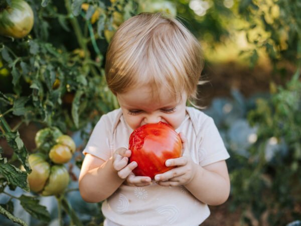 enfant en bonne santé, enfance, santé au naturel, bien être, naturopathie, médecines douces, naturopathe, aromathérapie, gemmothérapie, plantes, micronutrition, alimentation saine, bien grandir, immunité, compléments alimentaires, alimentation, vitamines, oligoéléments,